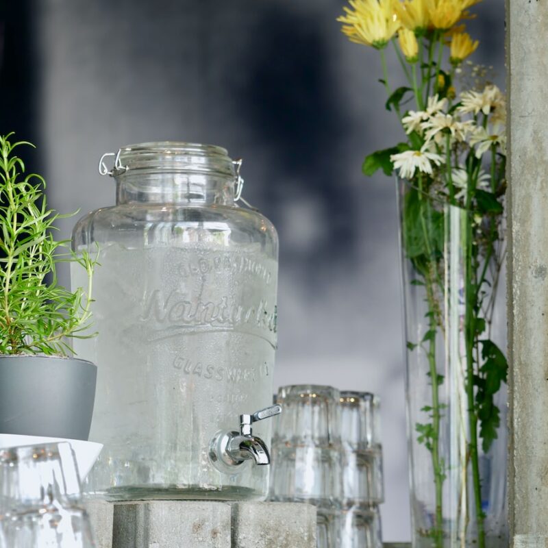 clear glass beverage dispenser beside green leafed plant